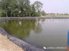 大家為什么如此的喜愛魚塘防滲膜？